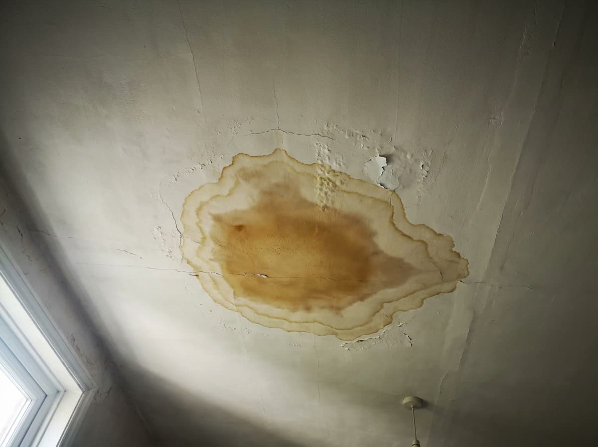 Brown water-stain ring spreading across a white interior ceiling from a leak above